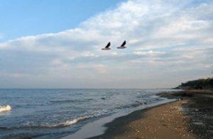 caspian-sea-kaspiy-more