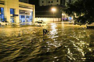 «Получается, что Баку не готов и к обычному проливному дождю…»