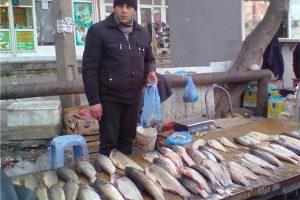 В Азербайджане продается опасная рыба?