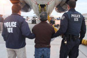 Трамп будет депортировать нелегалов-азербайджанцев из США?