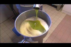 Секреты изготовления оливкового масла (ВИДЕО)