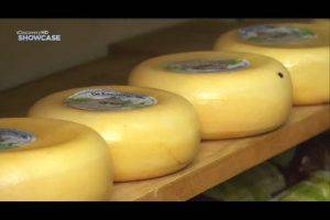 Как делают сыр Гауда? (ВИДЕО)