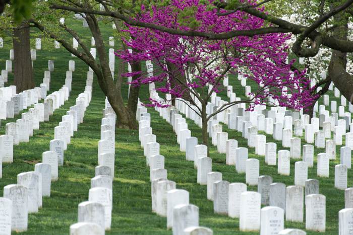 green-cemetery-ekolog-kladbishe