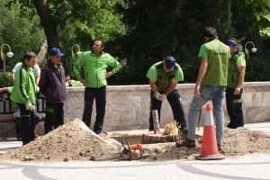 Трудолюбивые азербайджанцы готовы работать в праздники — лишь бы заработать