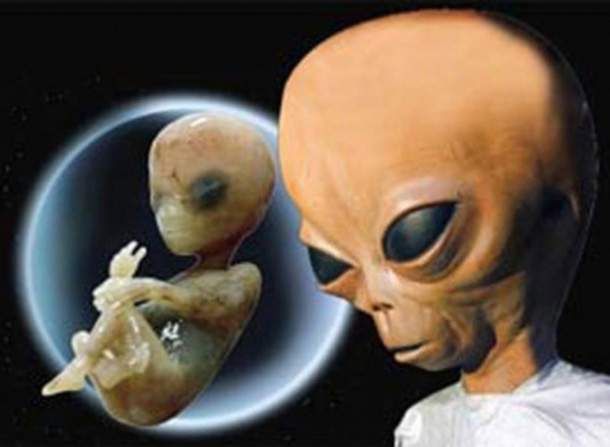 alien-inoplanetyanin-prishelec