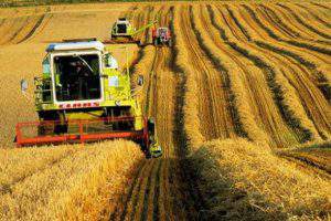 В Азербайджане предложили эффективное развитие аграрного сектора
