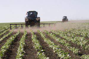 В Азербайджане появятся рынки для фермеров?