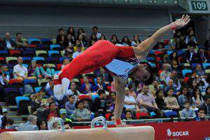 FIG признала Федерацию гимнастики Азербайджана лучшей в мире