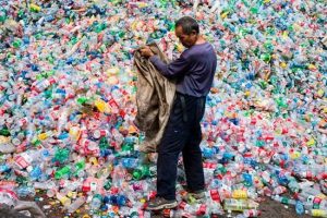 Пункты приема отходов или фандоматы: что больше нужно Азербайджану