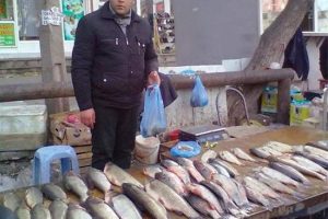 Баку заполнили уличные точки продажи рыбы